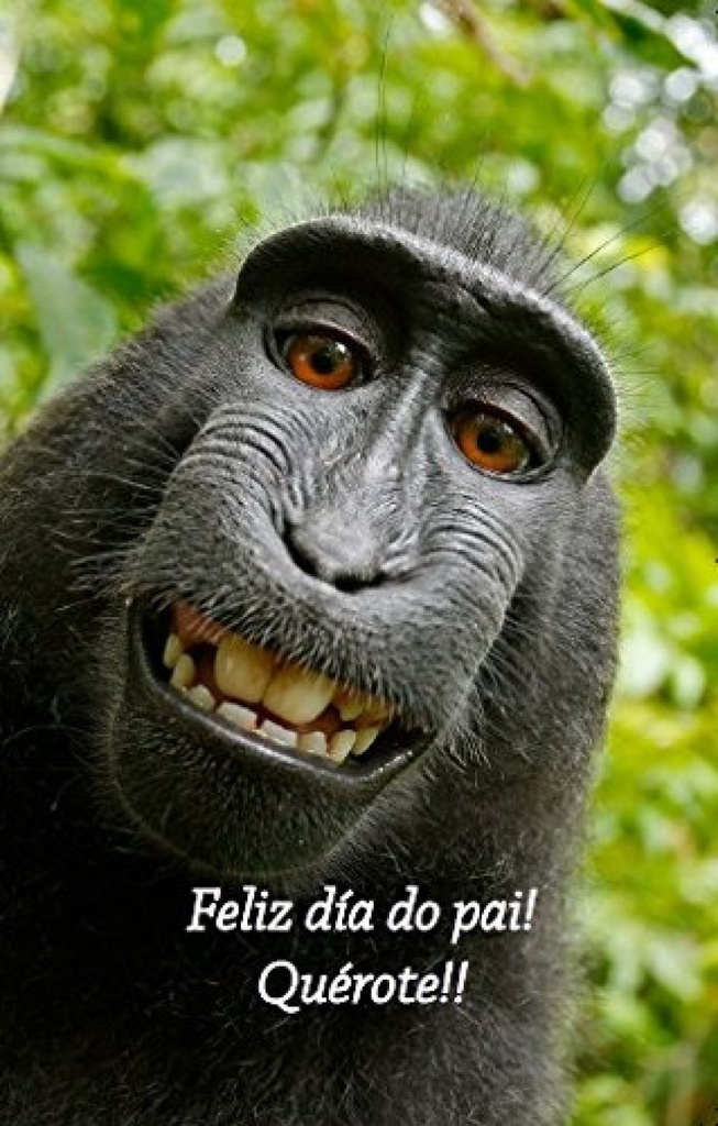 Feliz día do Pai .-III