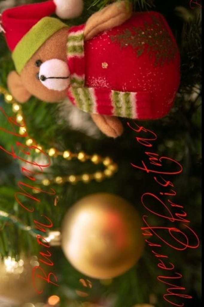 [9789899877931] Bon Nadal Buon Natale