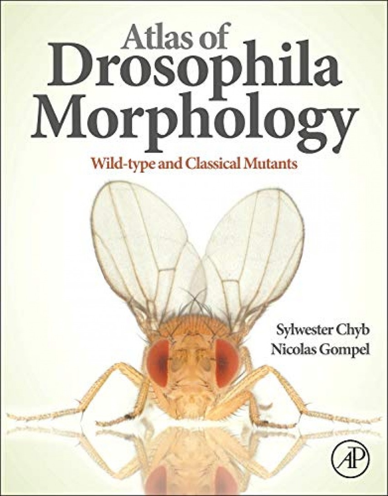 [9780123846884] Atlas of Drosophila Morphology