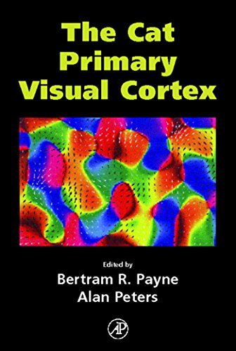 [9780125521048] The cat primary visual cortex