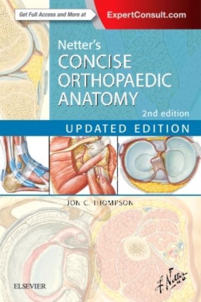[9780323429702] Netter's Concise Orthopaedic Anatomy, Updated Edition