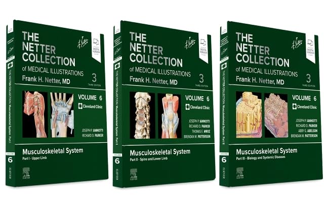 (3VOL).MUSCULOSKELETAL SYSTEM PACKAGE.NETTER COLLECTION