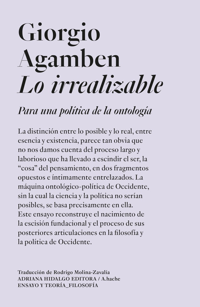 [9786316615138] Lo irrealizable
