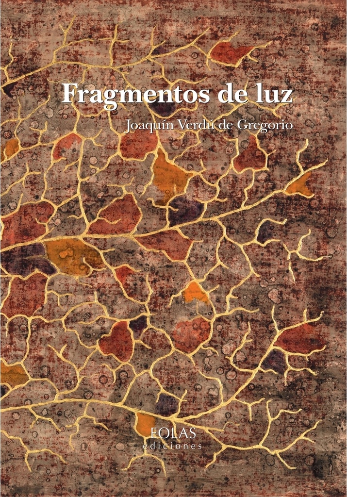 [9788410057449] Fragmentos de luz