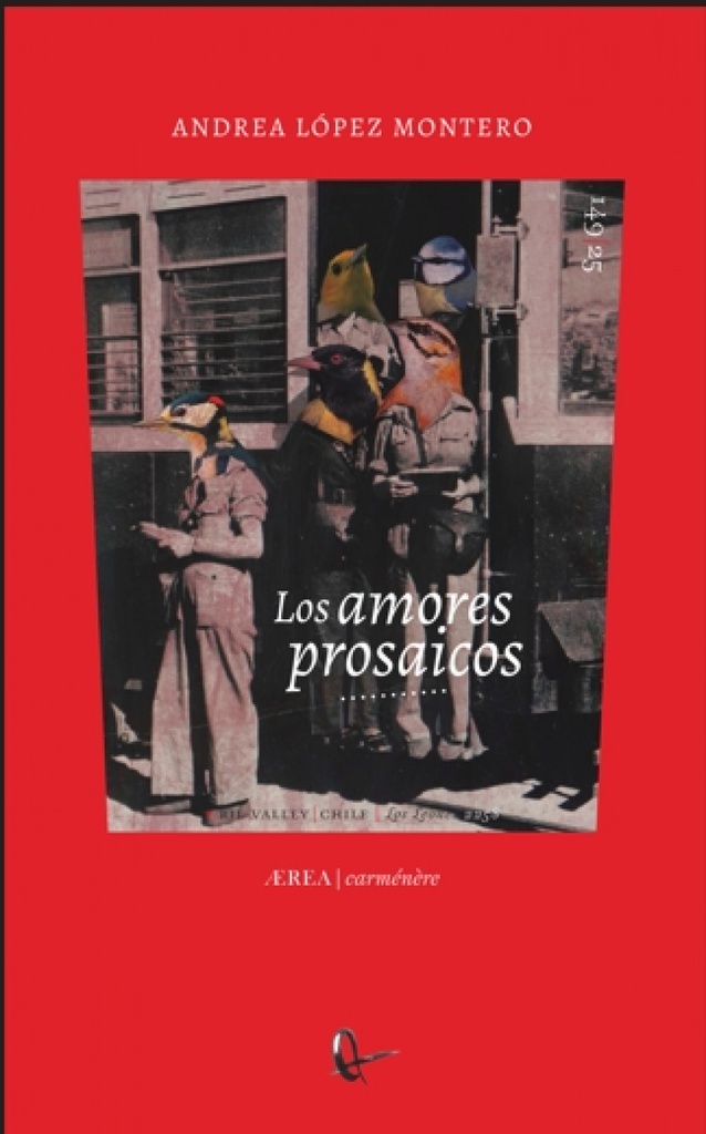 [9788410248694] LOS AMORES PROSAICOS