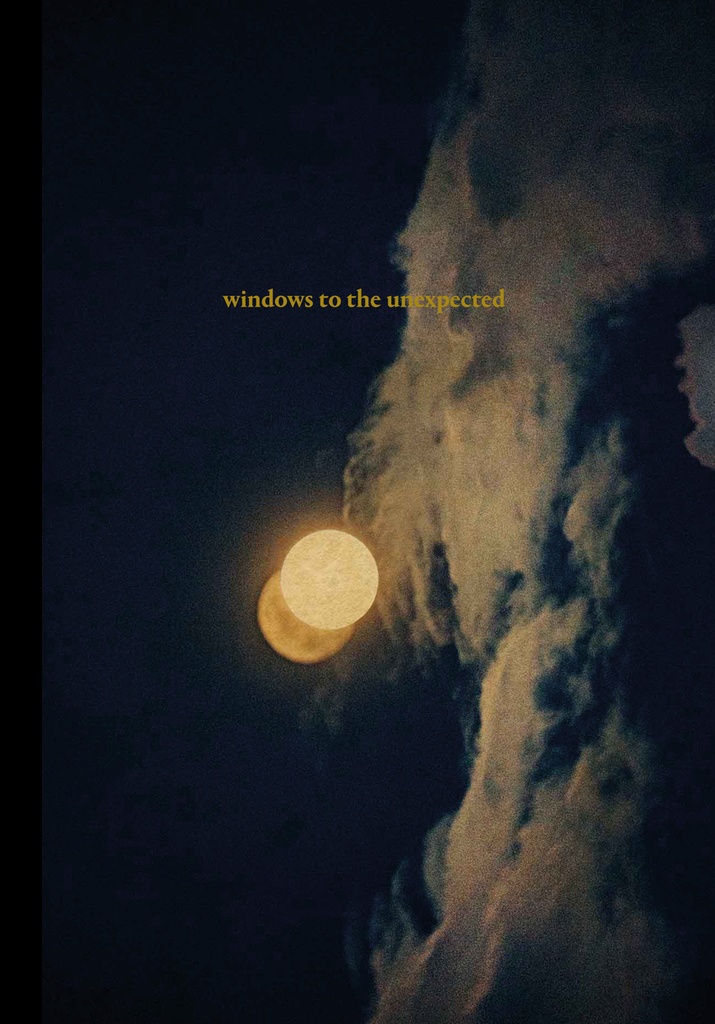 [9788410290211] Windows to the Unexpected