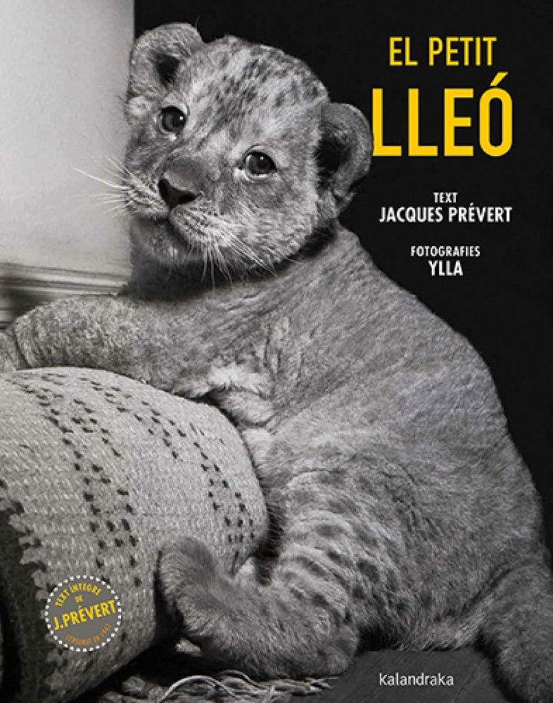 [9788410387102] El petit lleó