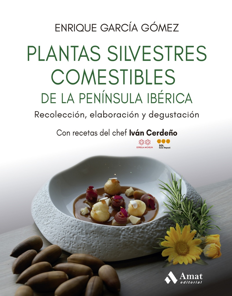 [9788410451384] Plantas silvestres comestibles de la península ibérica