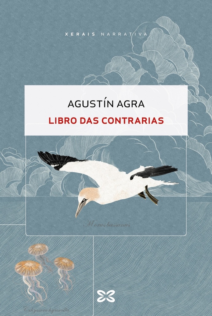 [9788411106719] Libro das contrarias