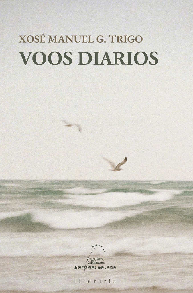 Voos diarios