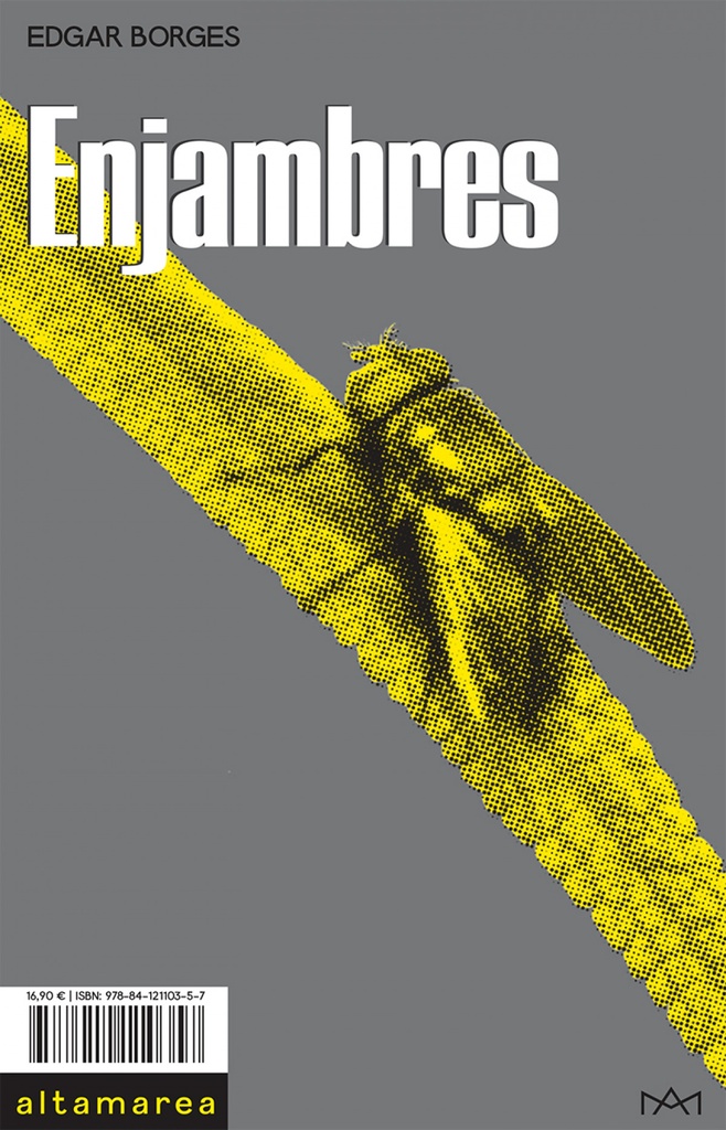 [9788412110357] Enjambres