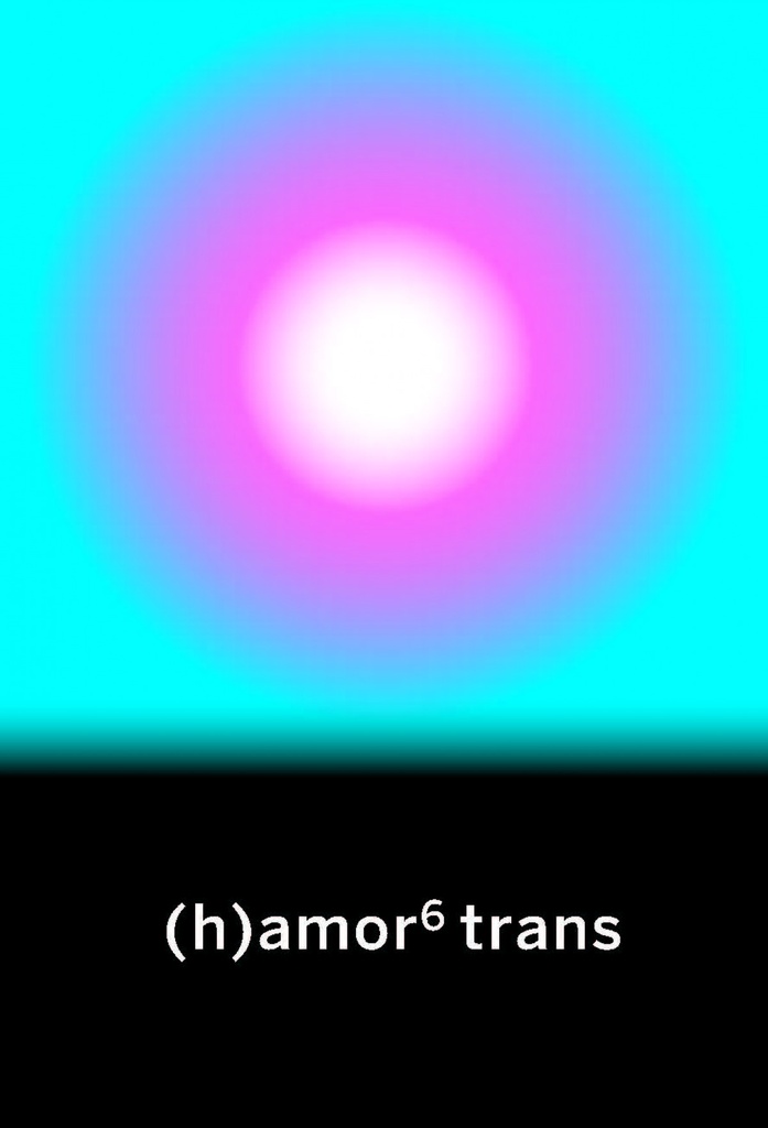 [9788412276022] (h)amor 6 trans
