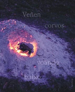 [9788412737745] VEÑEN CORVOS VOANDO BAIXO