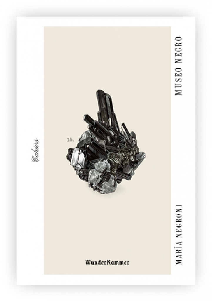 [9788412743142] Museo negro