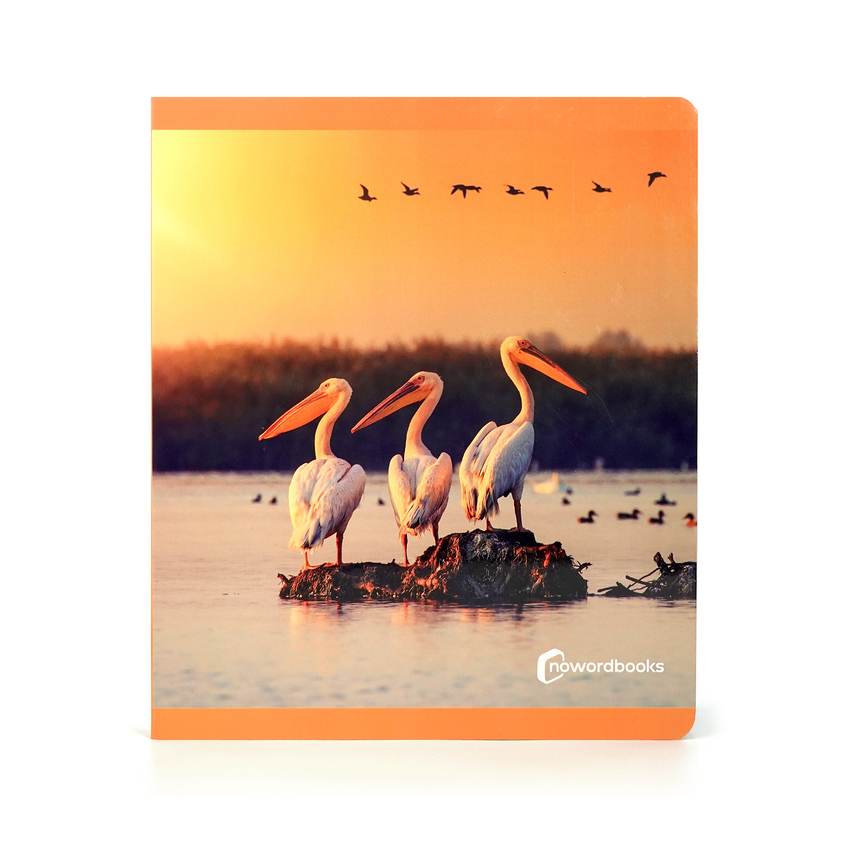 [9788412804331] AVES
