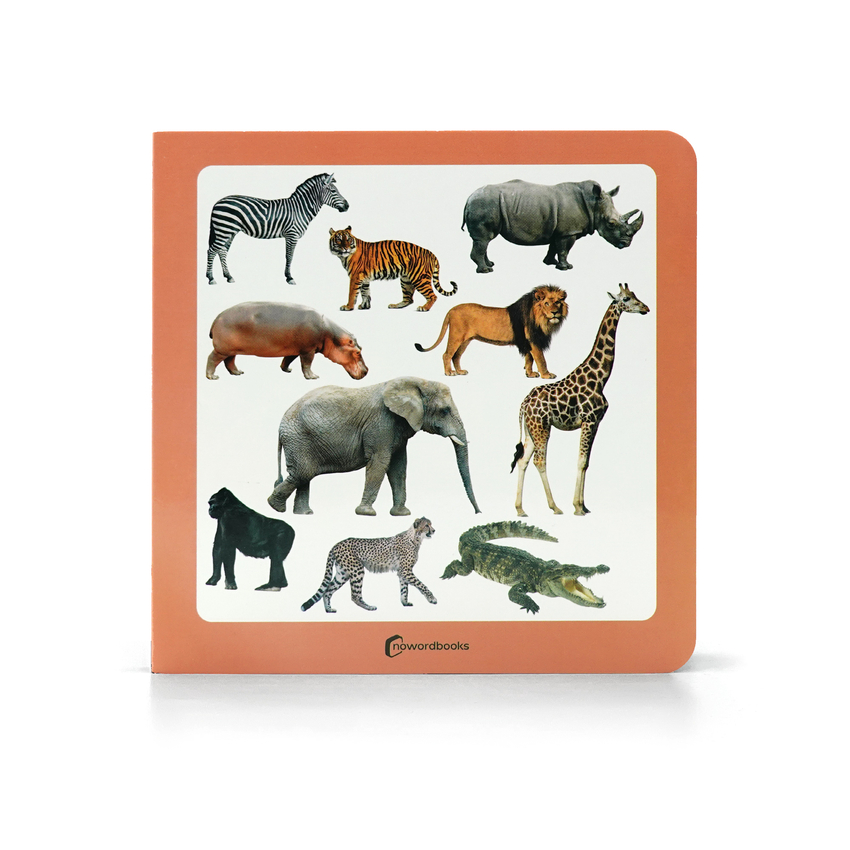 3.ANIMALES SALVAJES