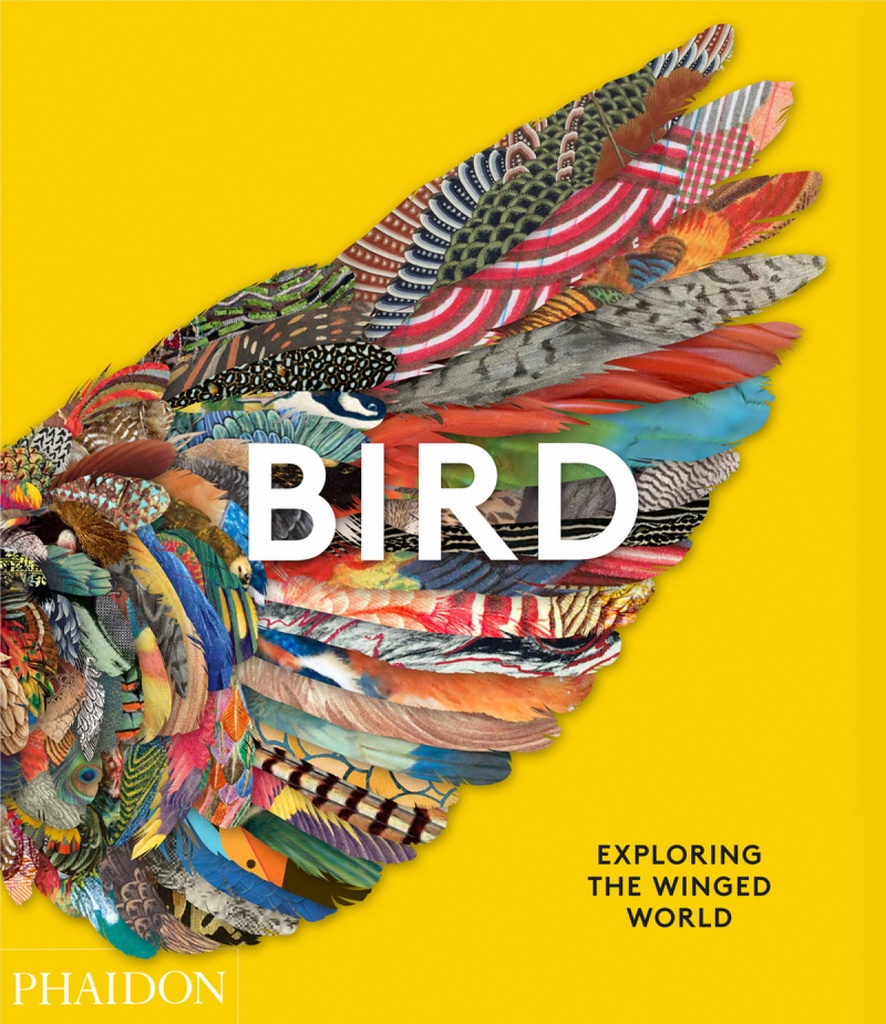 [9781838661403] Birds