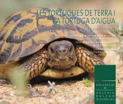 [9788412955903] Les tortugues de terra i la tortuga d'aigua a les Illes Balears