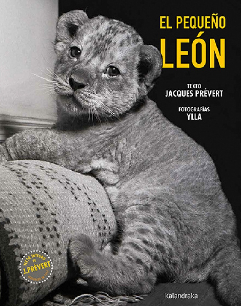 [9788413433790] El pequeño león