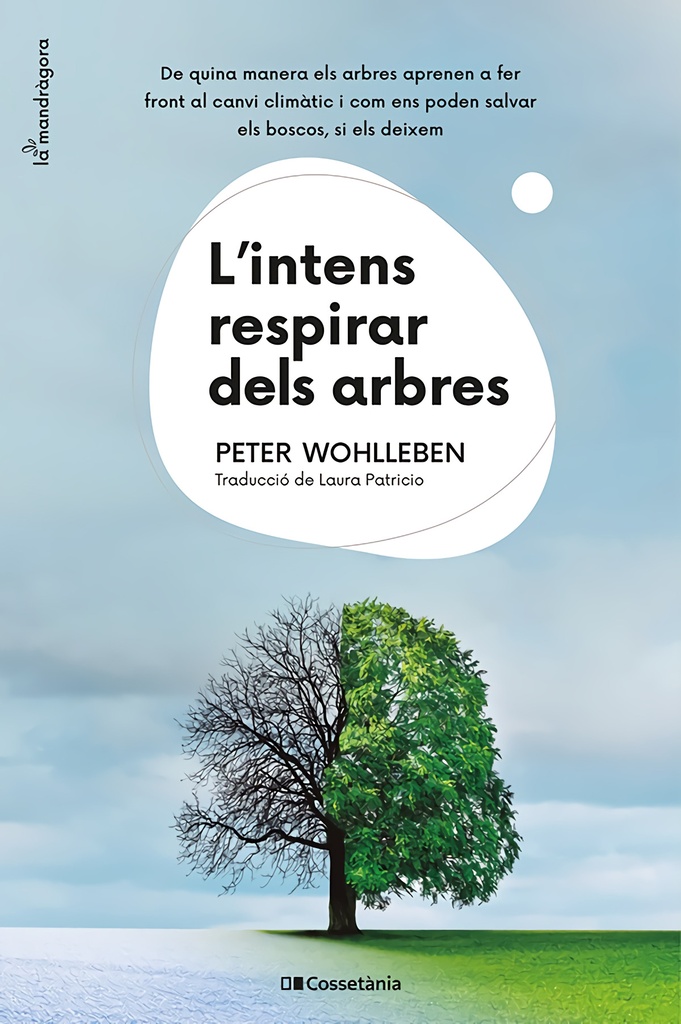 [9788413562087] L'intens respirar dels arbres