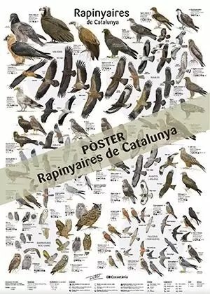[9788413563787] RAPINYAIRES DE CATALUNYA POSTER