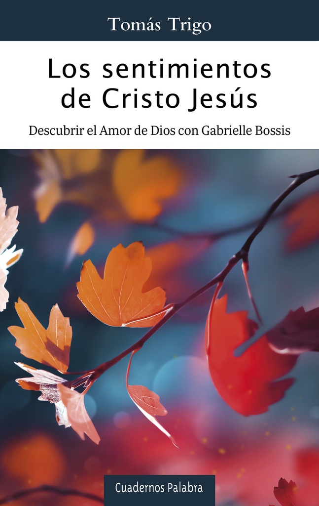 [9788413683003] Los sentimientos de Cristo Jesús