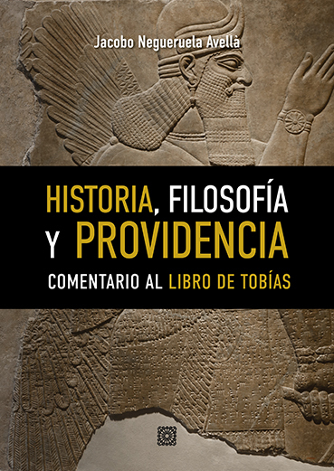 [9788413699592] HISTORIA, FILOSOFÍA Y PROVIDENCIA