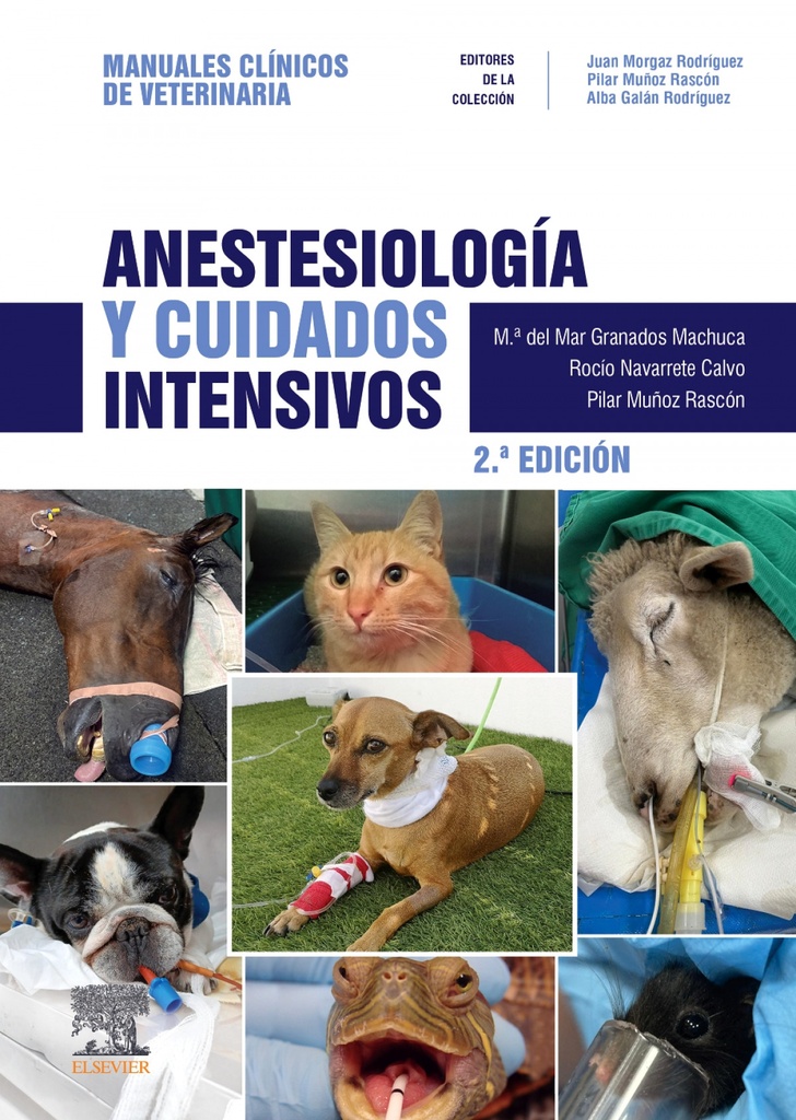 [9788413825373] ANESTESIOLOGIA Y CUIDADOS INTENSIVOS 2ª ED
