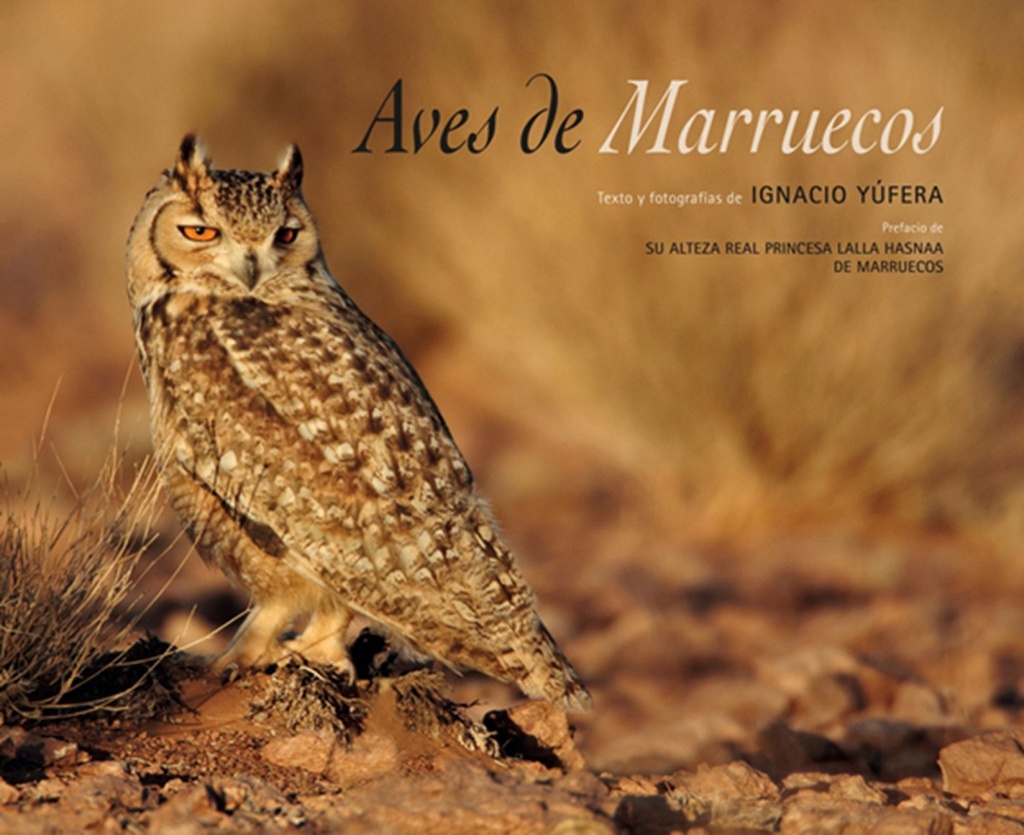 Aver de Marruecos