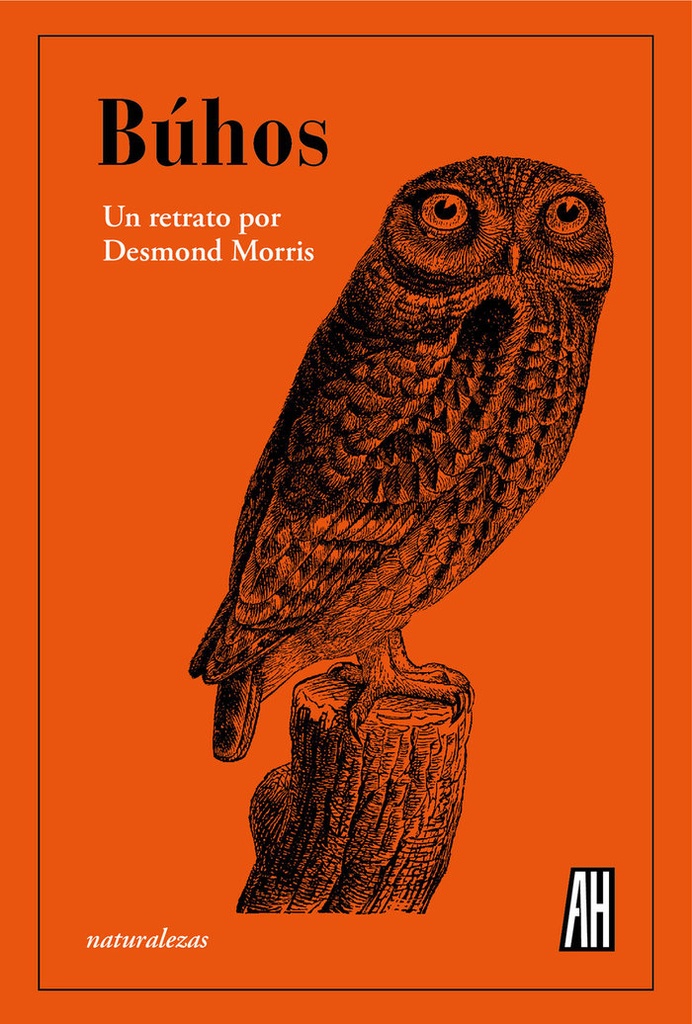 [9788419208323] Buhos
