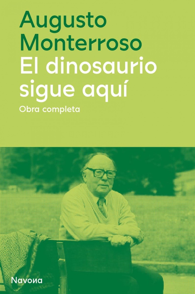 [9788419311177] El dinosaurio sigue aquí