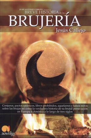 [9788497632775] Breve Historia de la Brujería