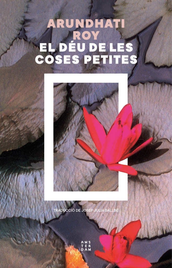 [9788419960436] El déu de les coses petites