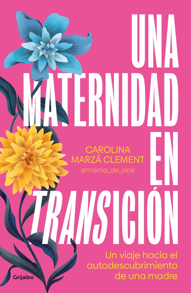 [9788425367946] Una maternidad en transición