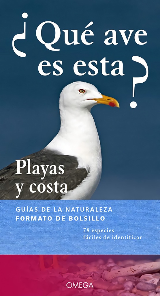 [9788428217293] ¿QUÉ AVE ES ESTA?