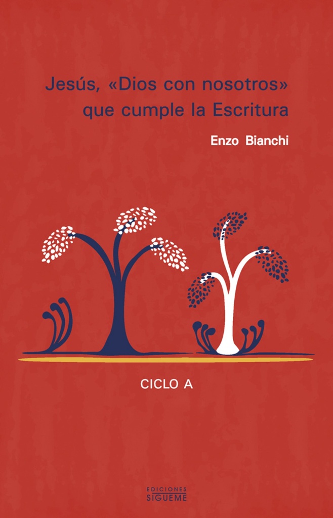 [9788430117505] 'Jesús ''Dios con nosotros'' que cumple la escritura'