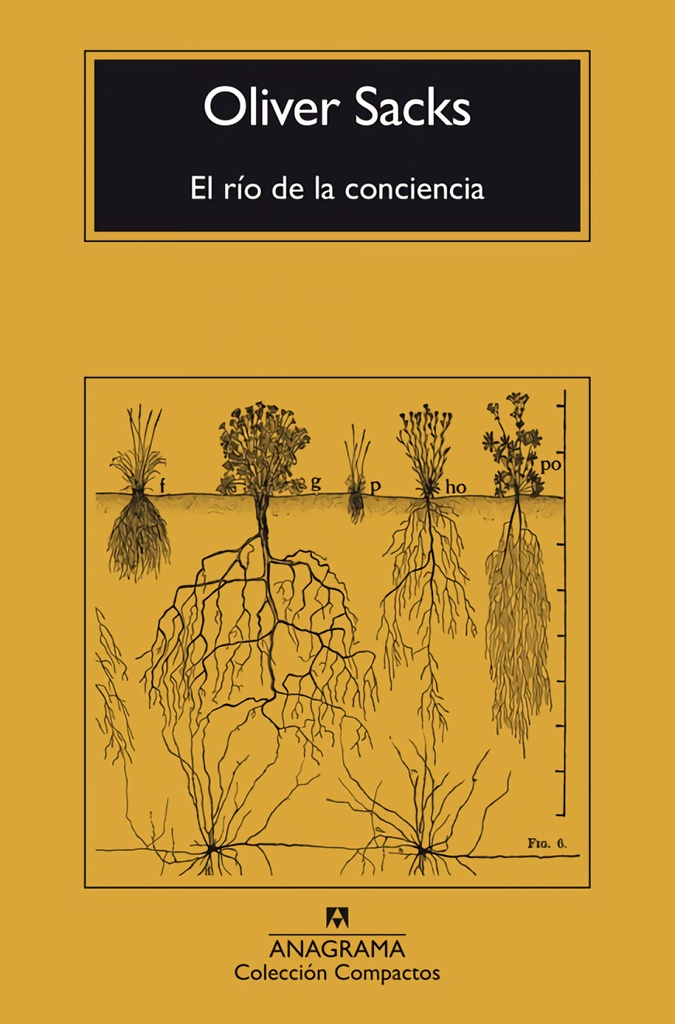 [9788433946867] EL RÍO DE LA CONCIENCIA