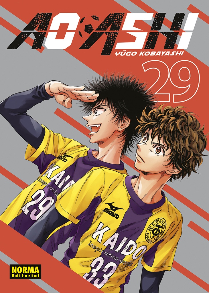[9788467973044] AO ASHI 29