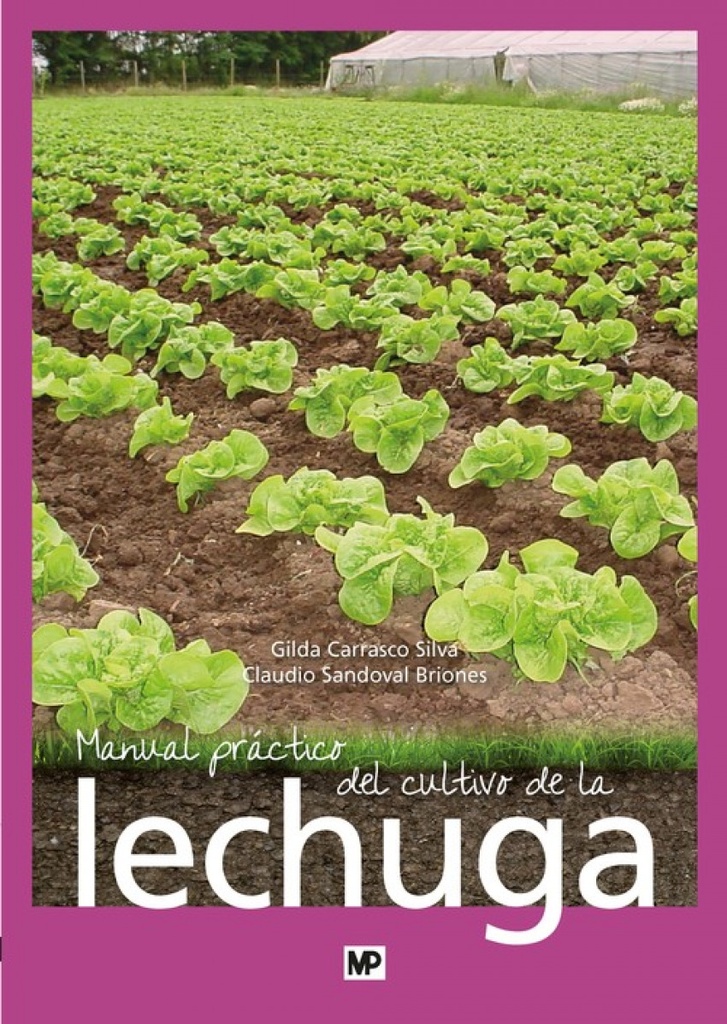 Manual practico de cultivo de lechuga