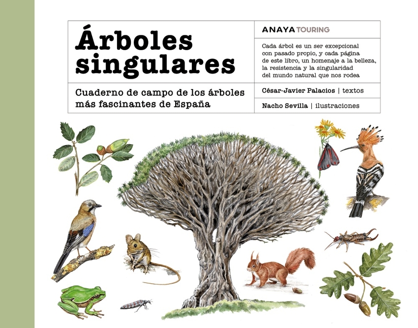[9788491589273] Árboles singulares