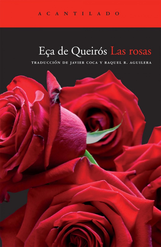 [9788492649495] Las rosas