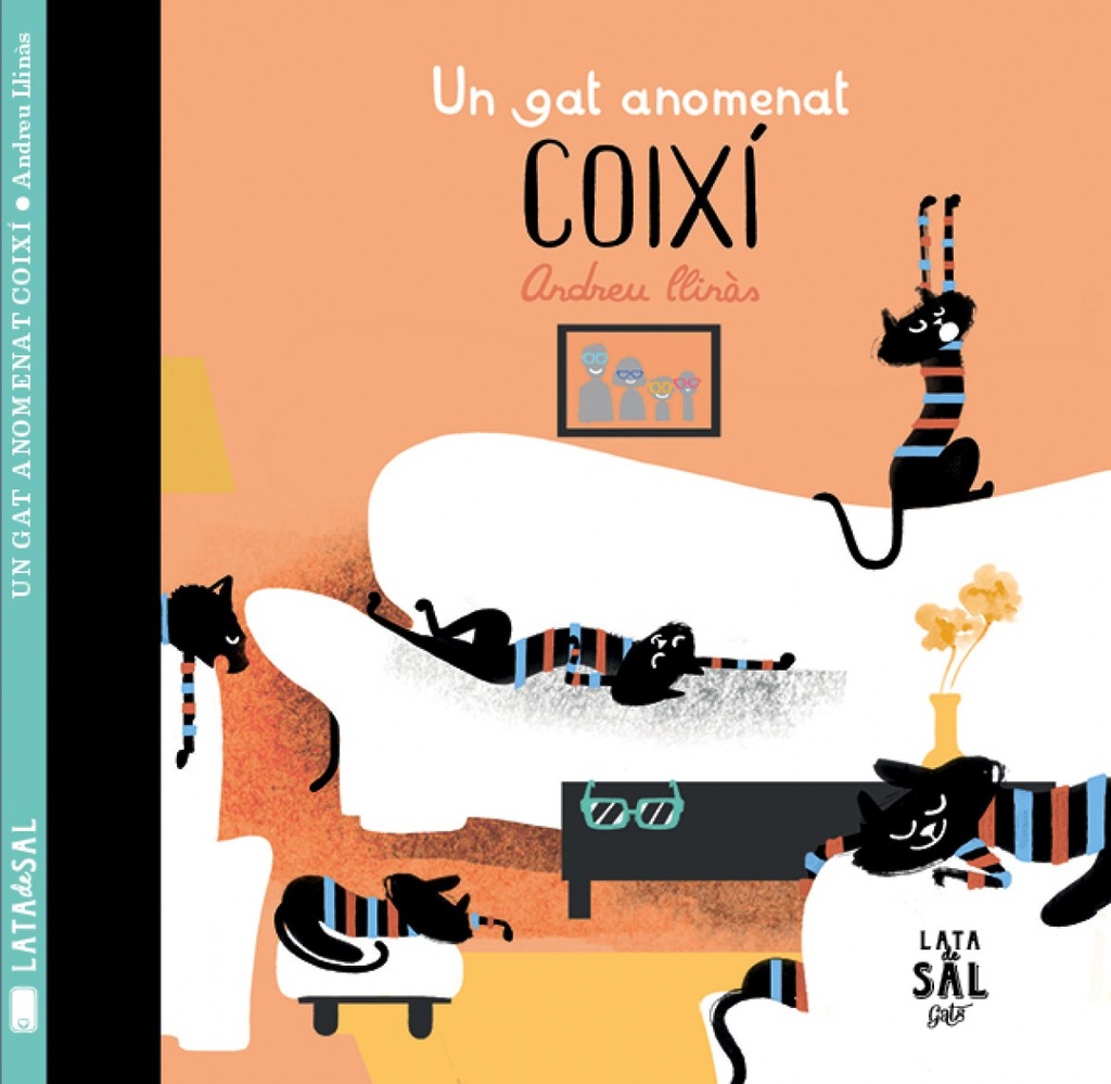 [9788494469824] UN GAT ANOMENAT COIXÍ