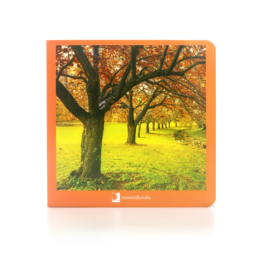 [9788494585852] Otoño