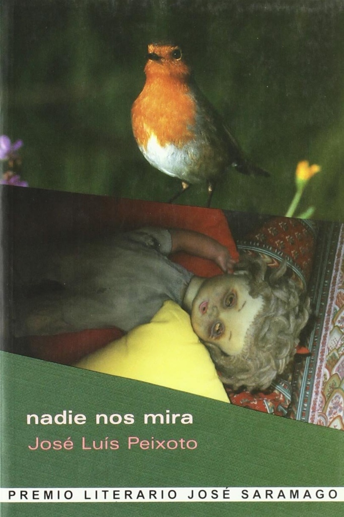 [9788495786067] Nadie nos mira