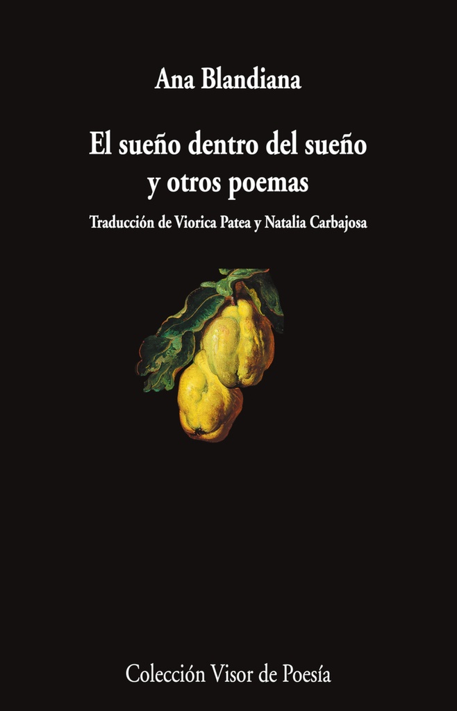 [9788498955132] El sueño dentro del sueño y otros poemas