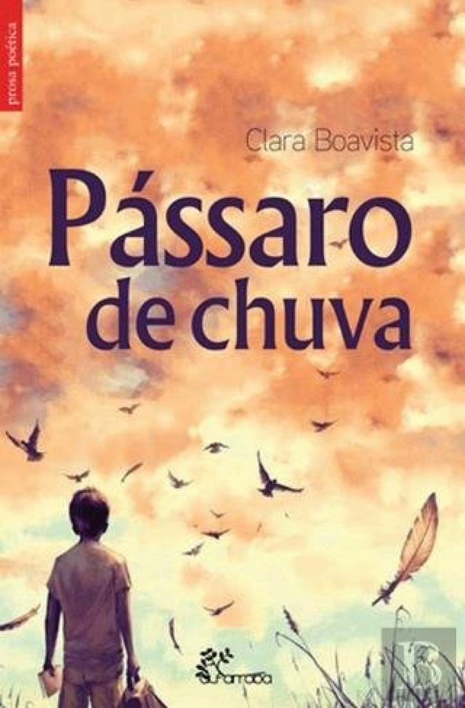 [9789898745743] Pássaro de Chuva