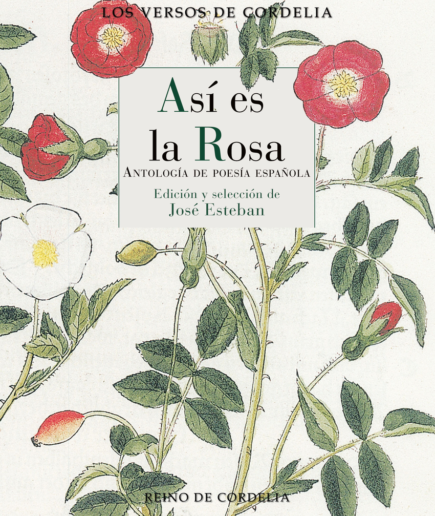[9791387599119] Así es la rosa