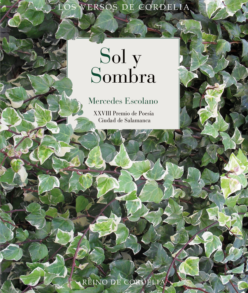 [9791387599300] Sol y sombra