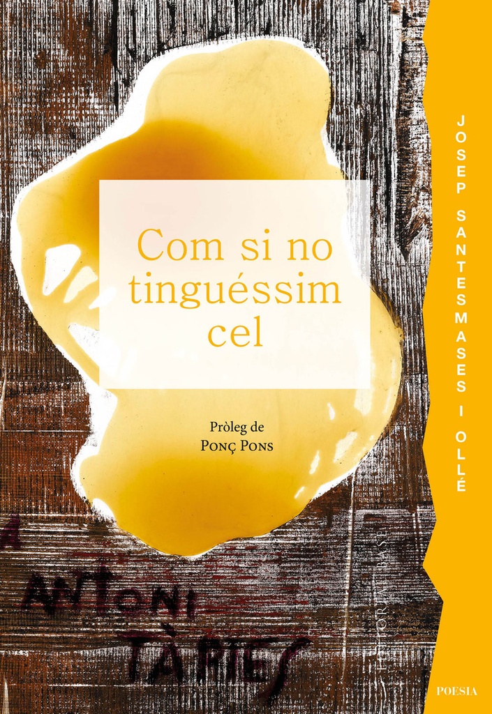 [9791387728014] Com si no tinguéssim cel