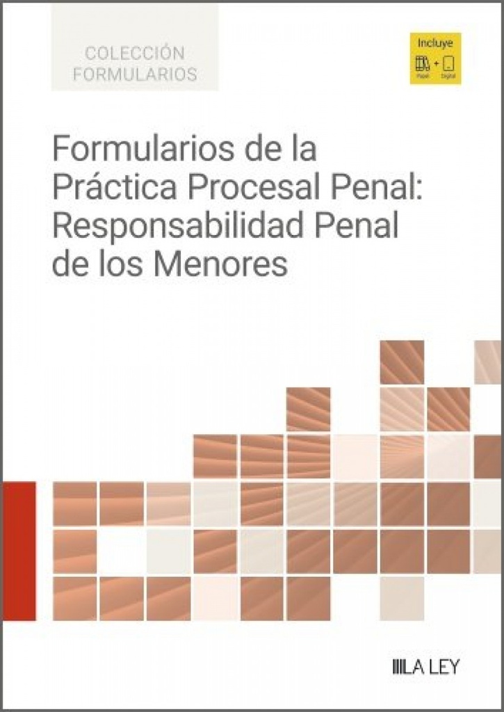 [9791387743727] FORMULARIOS DE LA PRACTICA PROCESAL PENAL: RESPONSABILDIAD PENAL DE LOS MENORES
